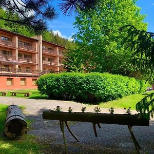 Horsky Hotel Podjavornik